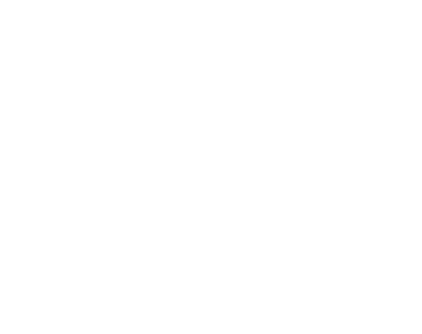 Komm. Paludi